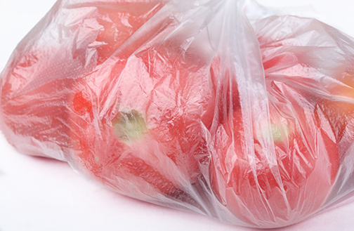 2x12 Plastic Bag 2 Mils